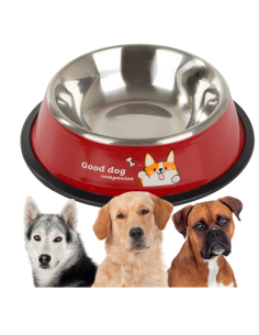 Gamelle pour chien antidérapante en métal avec inscriptions