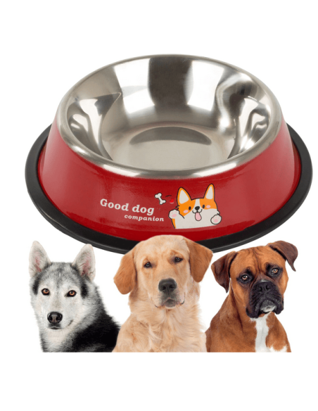 Gamelle pour chien antidérapante en métal avec inscriptions