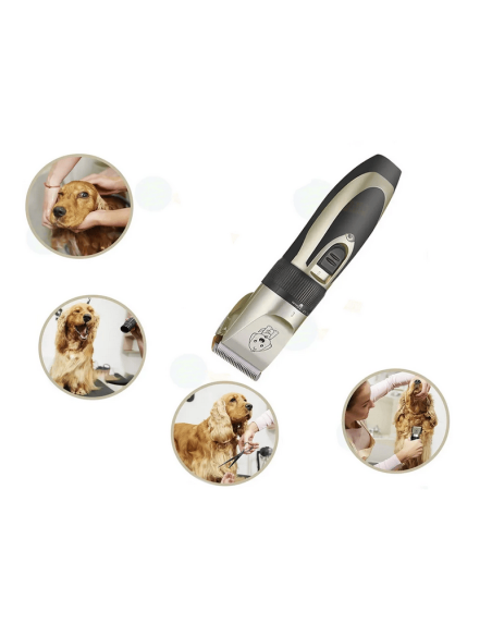 Tondeuse pour chiens animaux