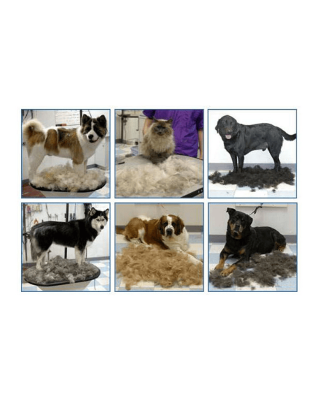 Peigne pour sous-poils 10cm pour animaux de compagnie
