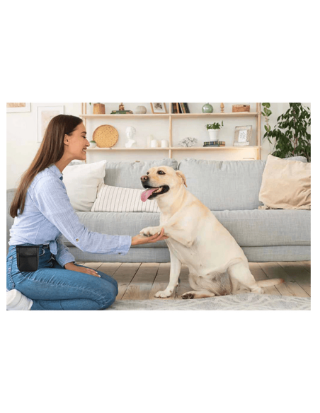 Pochette pour friandises chien