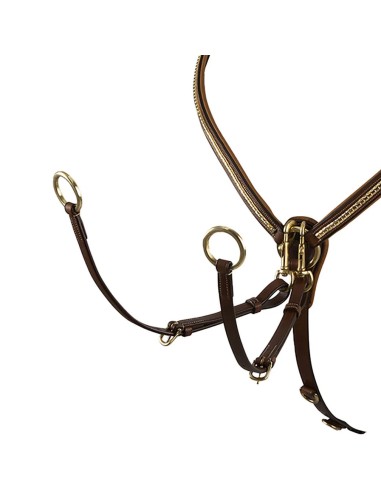 Collier de chasse clincher Dmh-Equitaion