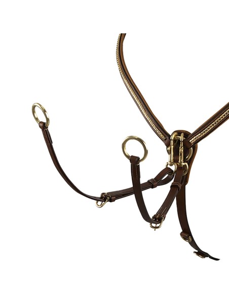 Collier de chasse clincher Dmh-Equitaion