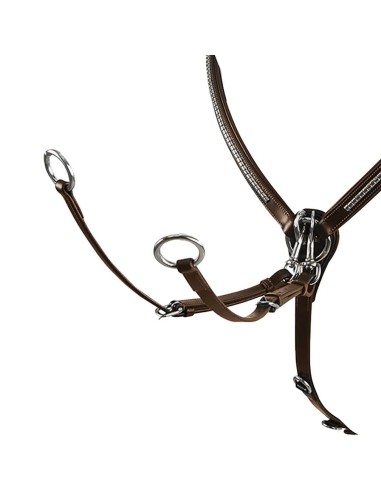 Collier de chasse clincher Dmh-Equitaion
