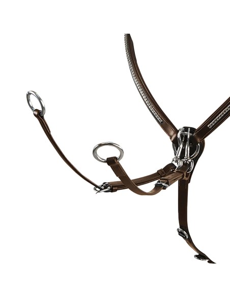 Collier de chasse clincher Dmh-Equitaion noir