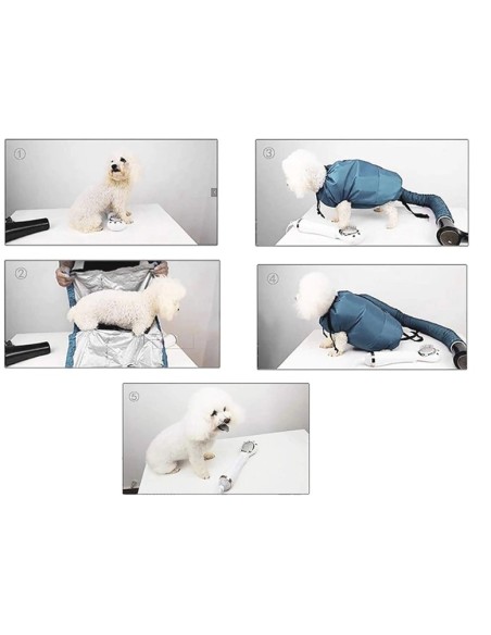 Souffleur sèche chien