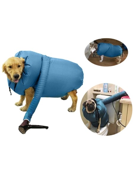 Souffleur sèche chien