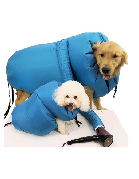 Souffleur sèche chien