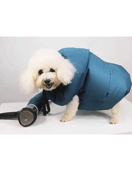 Souffleur sèche chien