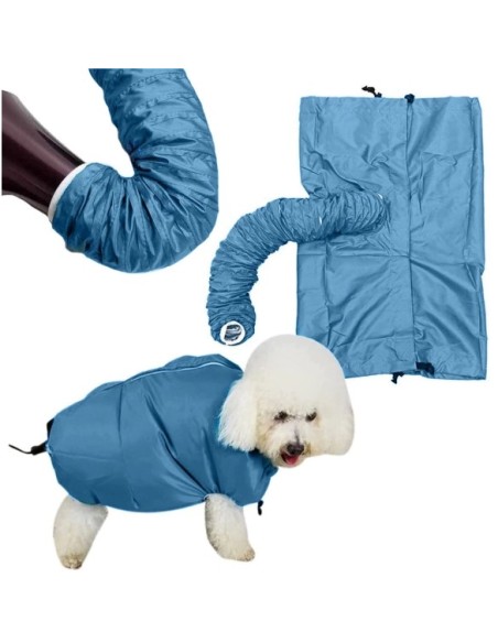 Souffleur sèche chien