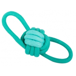 Jouet pour chien anneau de dentition