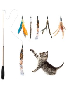 Jouet pour chats canne à pêche plume
