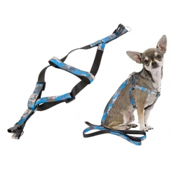 Laisse avec harnais de promenade pour chiens