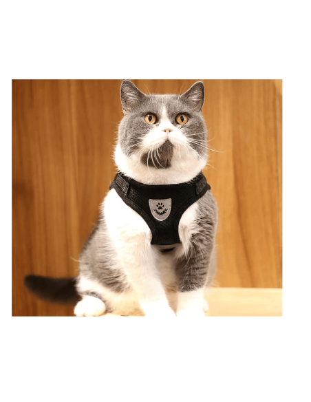 Harnais de promenade pour chien, chat