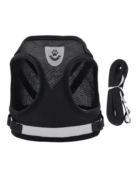 Harnais de promenade pour chien, chat