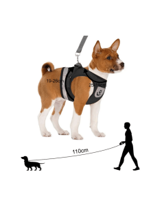 Harnais de promenade pour chien, chat 2