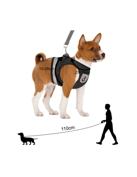 Harnais de promenade pour chien, chat