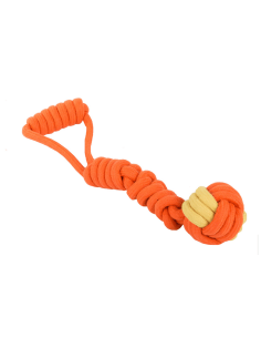 Jouet pour chien, anneau de dentition 2