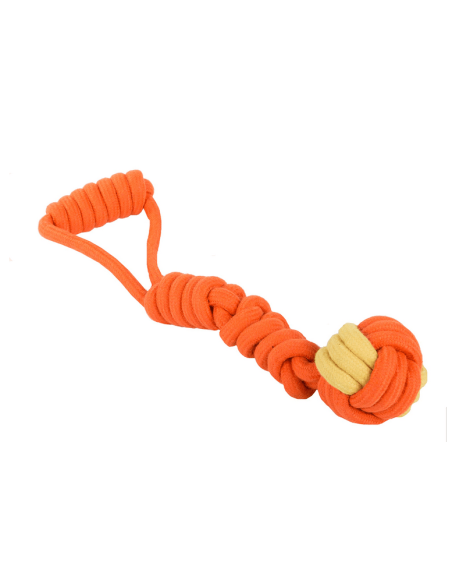 Jouet pour chien, anneau de dentition