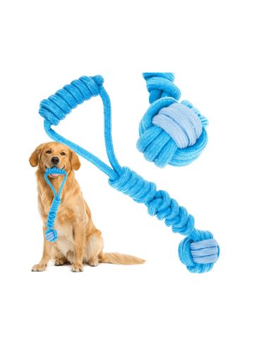 Jouet pour chien, anneau de dentition