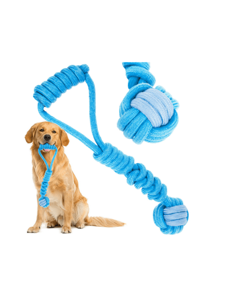 Jouet pour chien, anneau de dentition