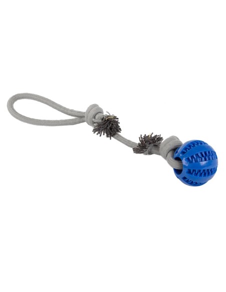Jouet pour chien avec anneau de dentition en silicone
