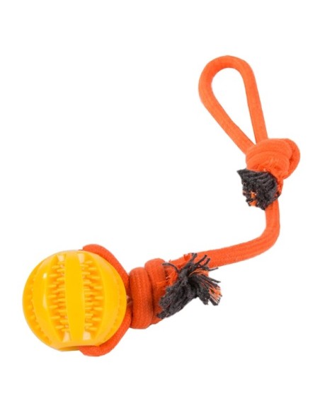 Jouet pour chien avec anneau de dentition en silicone