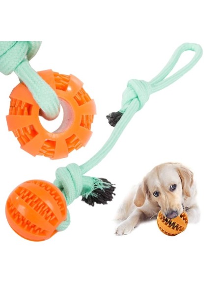 Jouet pour chien avec anneau de dentition en silicone