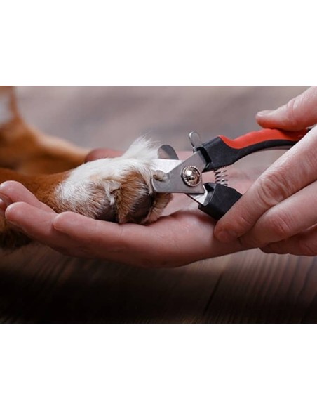 Coupe griffes pour chien et chat