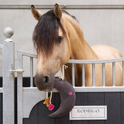 Jouet pour cheval en box buddy Moony