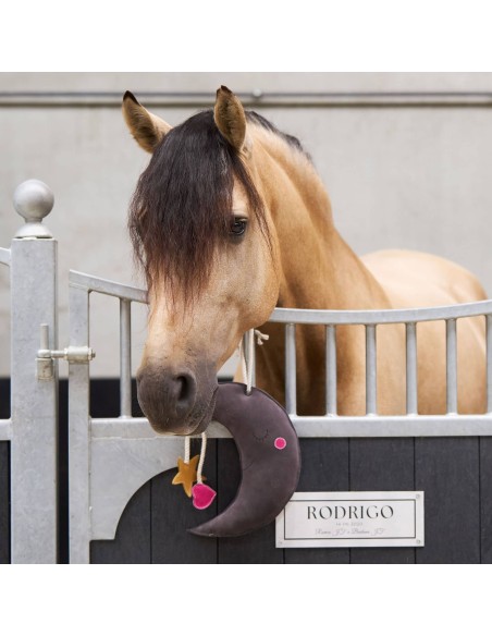 Jouet pour cheval en box buddy Moony