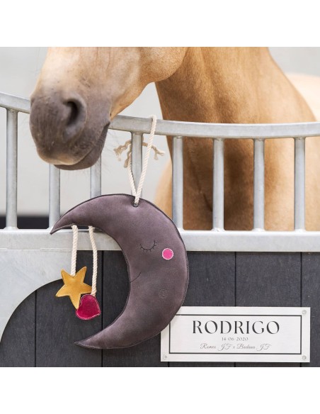 Jouet pour cheval en box buddy Moony