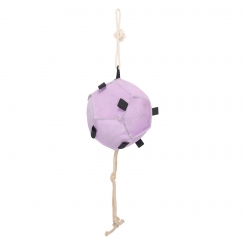 ballon jouet pour cheval IRHVolley up