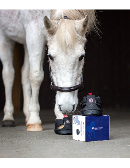 Hipposandales de trekking Equine Fusion®