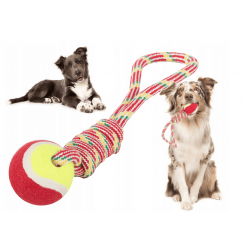 Cordon jouet pour chien