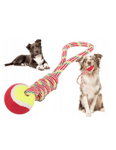 Cordon jouet pour chien
