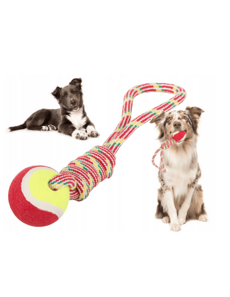 Cordon jouet pour chien