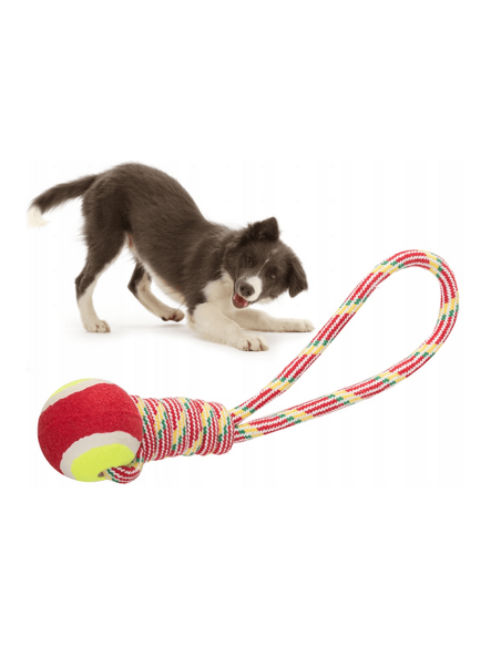 Cordon jouet pour chien