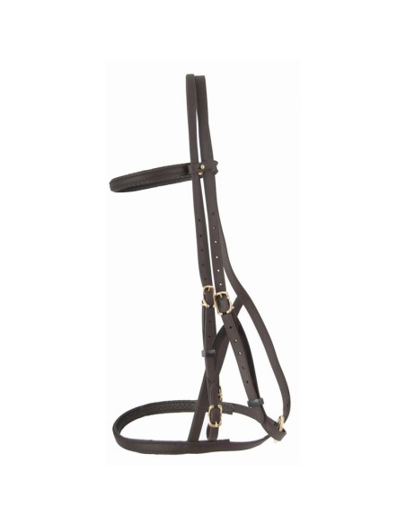 TdeT Bridon licol Biotack luxe Marron foncé