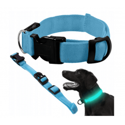 Collier lumineux pour chien et chat
