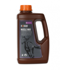 MUSCLE MAX Solution riche en antioxydants et lysine