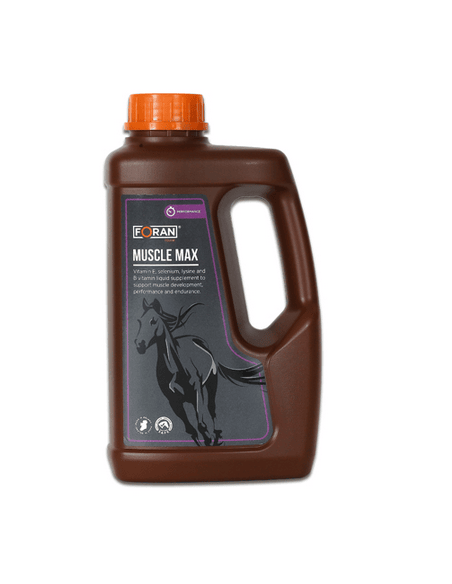 MUSCLE MAX Solution riche en antioxydants et lysine
