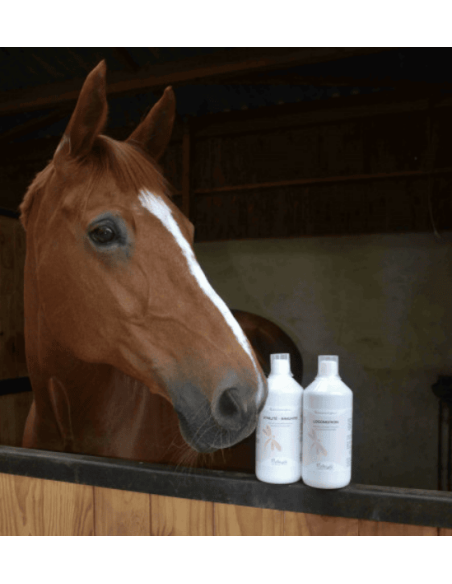 Vitalité Immunité Liquide Nutragile