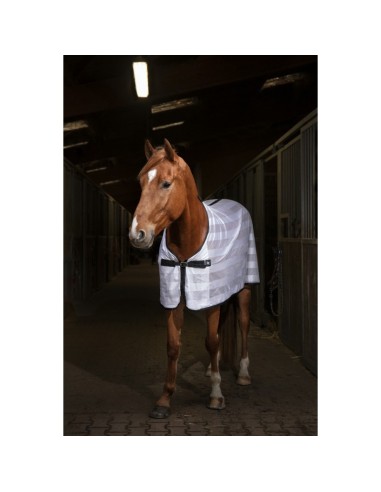 Chemise Riding World Mesh