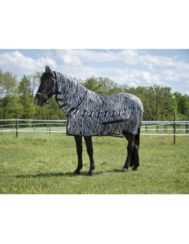 Chemise filet Rding World Combo