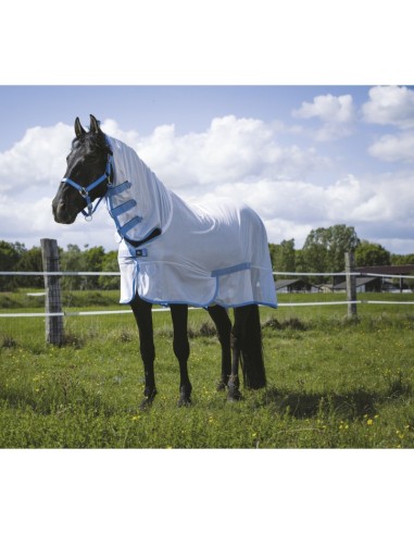 Chemise filet Rding World Combo