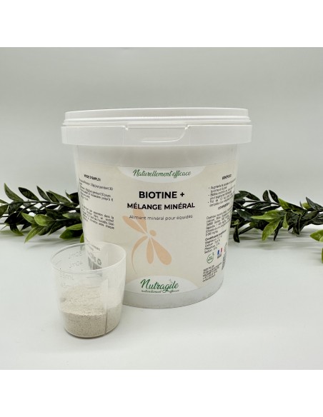 Biotine + mélange minéral Nutagile