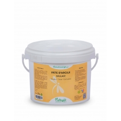 Pâte d'argile Soulage Douleur- Coup-Contusion