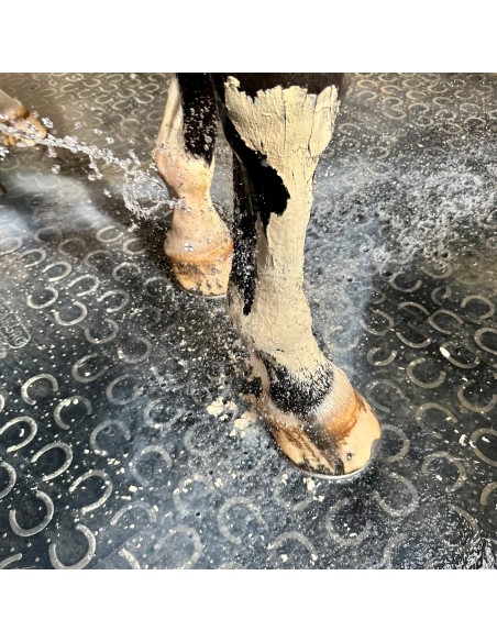 Pâte d'argile Soulage Douleur- Coup-Contusion