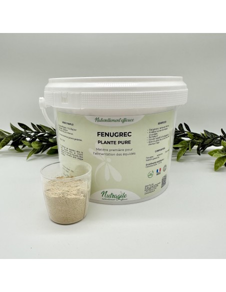 Fenugrec Nutragile